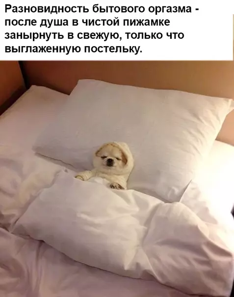 Смешная картинка №384282