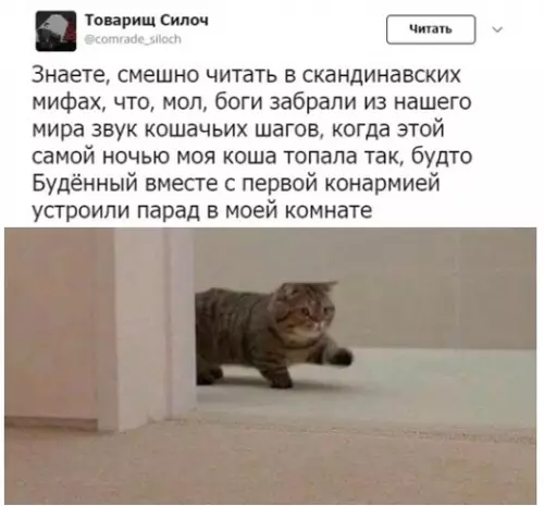 Смешная картинка №321643 Не верьте мифам кошки