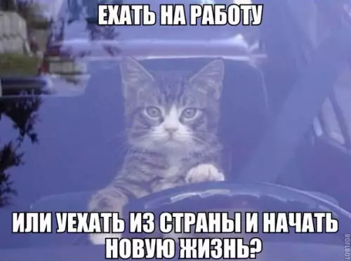 Смешная картинка №215848 Мысли с утра