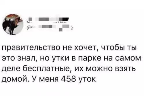 Смешная картинка №640476