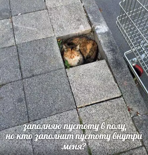 Смешная картинка №244513