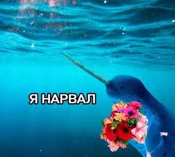 Смешная картинка №748538 Высокоинтеллектуальный юмор