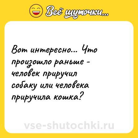 Шутка: Вот интересно... Что произошло раньше - человек приручил собаку или человека приручила кошка?