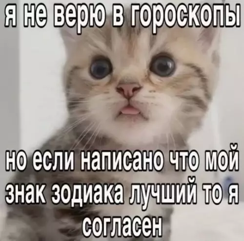 Смешная картинка №738631