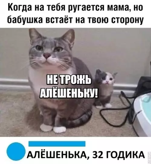 Смешная картинка №351955 Жизненно