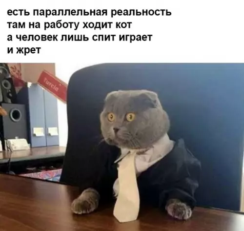 Смешная картинка №343088