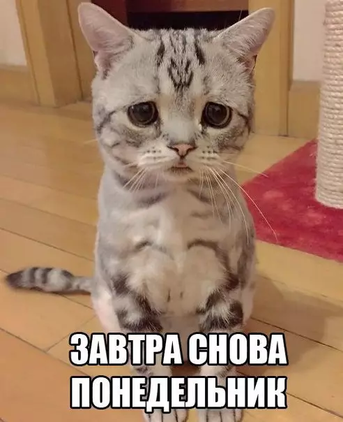Смешная картинка №225254