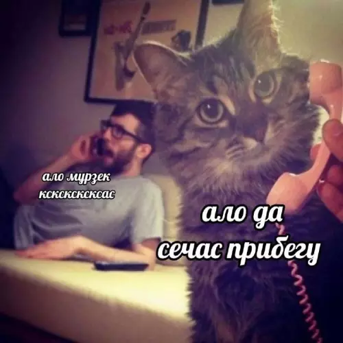 Смешная картинка №751046