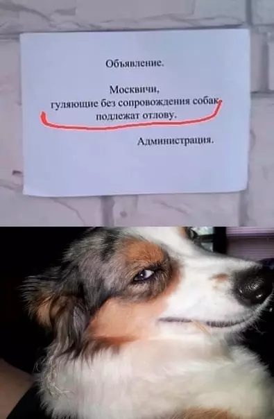 Смешная картинка №482782 ))