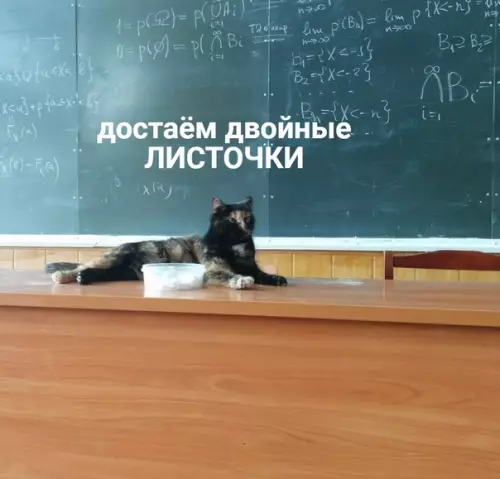 Смешная картинка №468623 Кошки