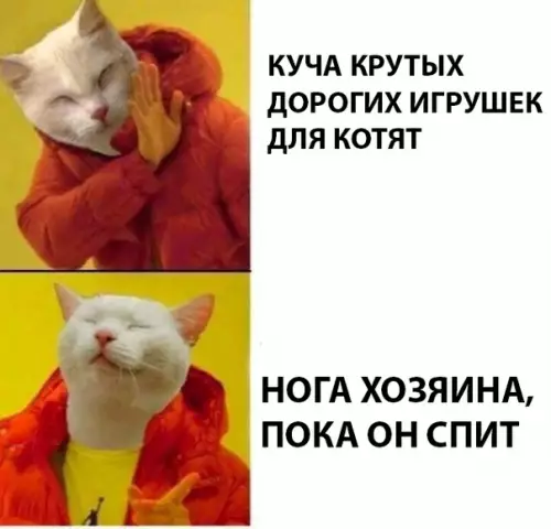 Смешная картинка №291116