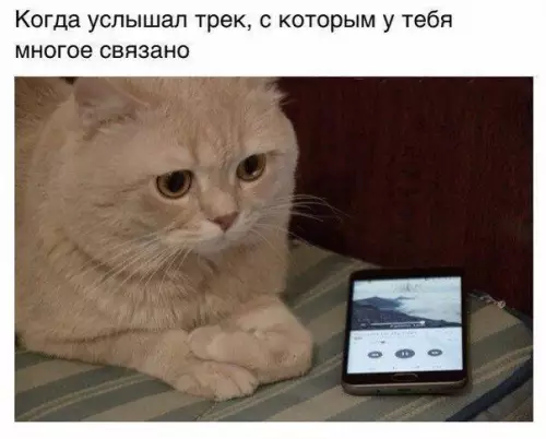 Смешная картинка №188409