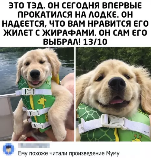 Смешная картинка №507950 и он всё понял)