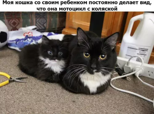 Смешная картинка №264595