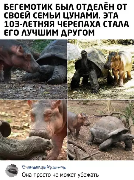 Смешная картинка №601123