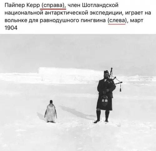 Смешная картинка №789340