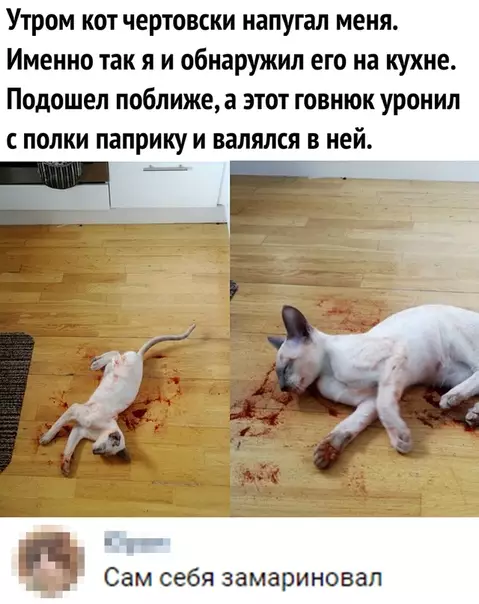 Смешная картинка №361490