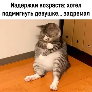 Смешная картинка №713870