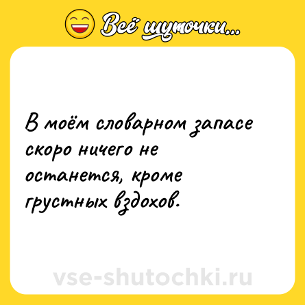 Шутка: В моём словарном запасе скоро ничего не останется, кроме грустных вздохов.