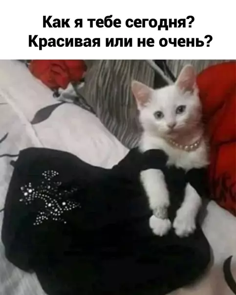 Смешная картинка №562473