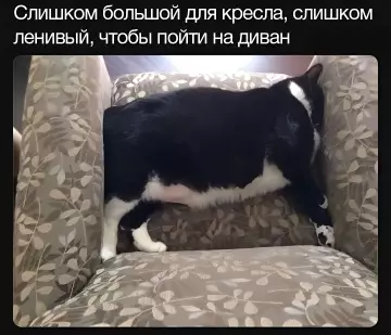 Смешная картинка №787097