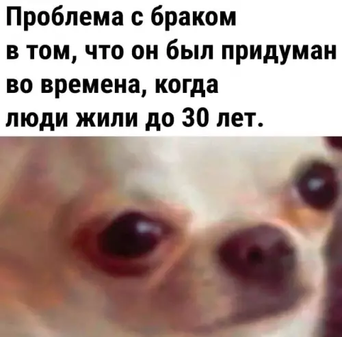 Смешная картинка №663994