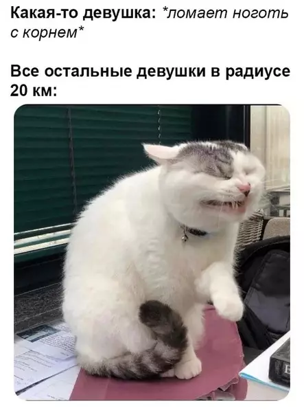 Смешная картинка №474786 Девyшки поймyт.