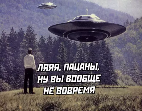 Смешная картинка №631902