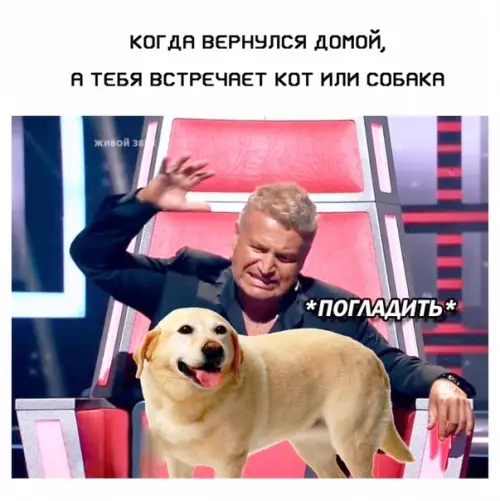 Смешная картинка №371687