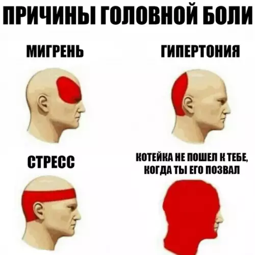 Смешная картинка №296021