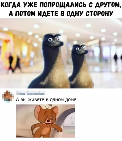 Смешная картинка №393808
