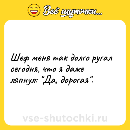 Шутка: Шеф меня так долго ругал сегодня, что я даже ляпнул: 