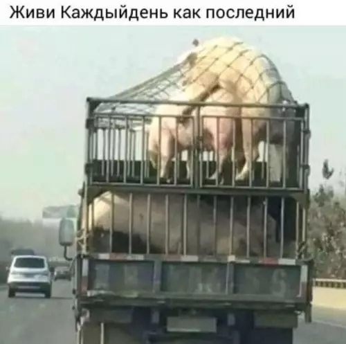 Смешная картинка №361109 !!!