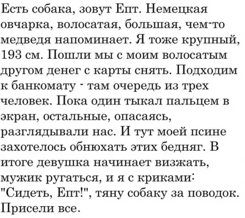 Смешная картинка №283014 собаки
