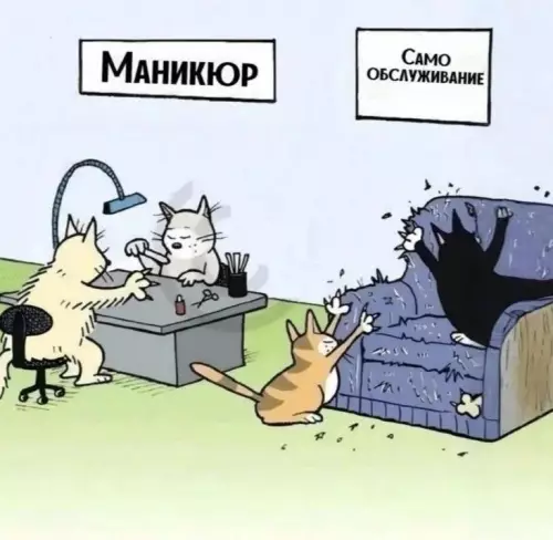 Смешная картинка №779766
