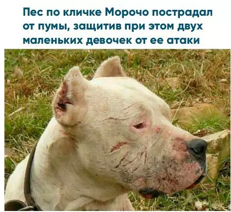 Смешная картинка №238883