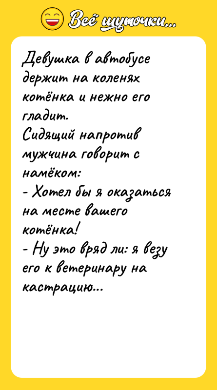 Девушка в автобусе держит на коленях котёнка и нежно его