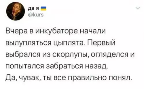 Смешная картинка №784722 Когда вылупился на Украине