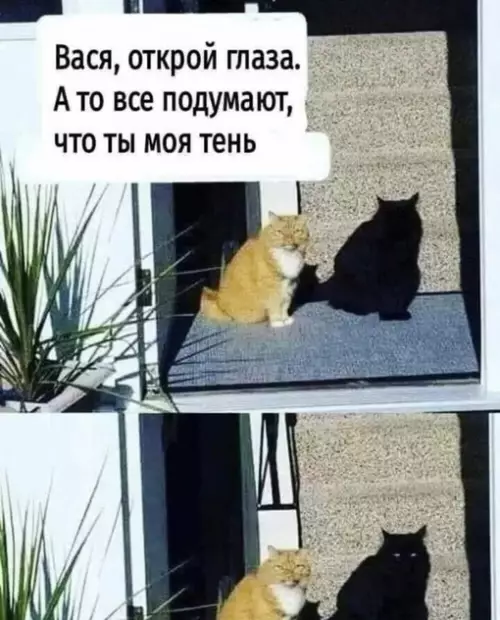 Смешная картинка №677618