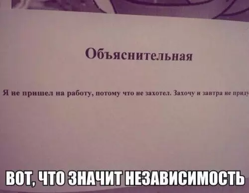 Смешная картинка №174361 объяснительная