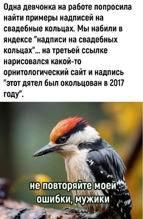 Смешная картинка №712133