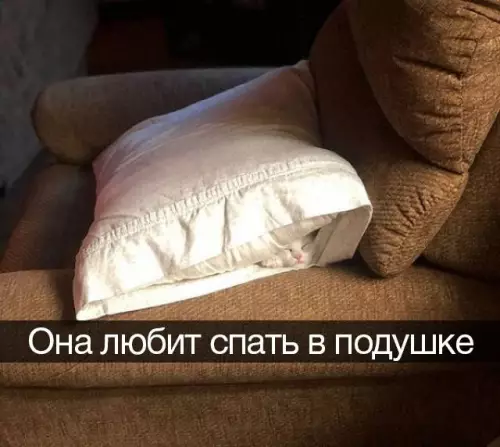 Смешная картинка №673562