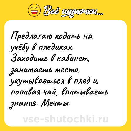 Шутка: Предлагаю ходить на учёбу в пледиках. Заходишь в кабинет, занимаешь место, укутываешься в плед и, попивая чай, впитываешь знания. Мечты.
