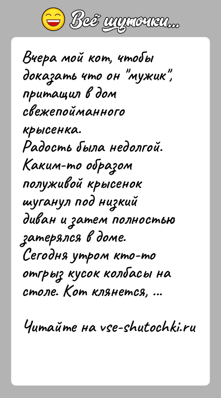 История: Вчера мой кот, чтобы доказать что он мужик , притащил в дом свежепойманного крысенка.Радость была недолгой.Каким-то образом полуживой крысенок шуганул под