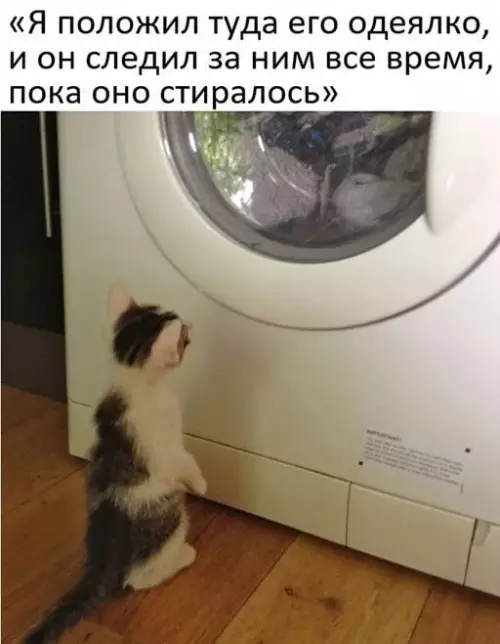 Смешная картинка №643956