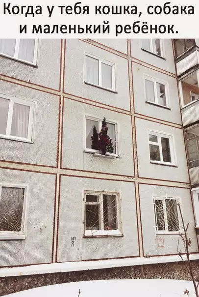 Смешная картинка №226719