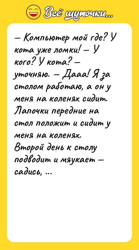 — Компьютер мой где? У кота уже ломки! — У