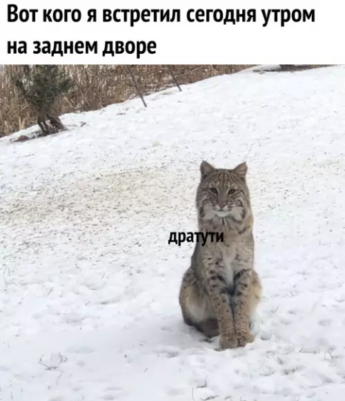 Смешная картинка №549902 Чтo ж, тeпepь этo нe твой задний двop