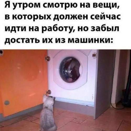 Утро начинается не с кофе... 🤦‍♂️ - Я утром смотрю на вещи, в которых должен сейчас идти