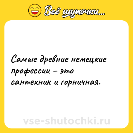 Шутка: Самые древние немецкие профессии – это сантехник и горничная.